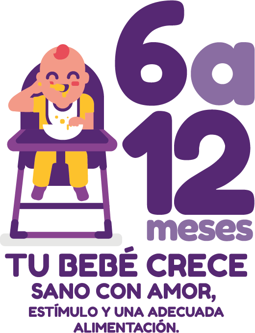 04 Etapas 6a12